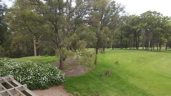 Villa Christian At Cypress Lakes Resort - Port Augusta Accommodation 25