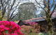 Rocky Creek Art Garden B&B - thumb 3