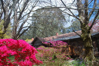 Rocky Creek Art Garden B&B - Port Augusta Accommodation 3