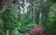 Rocky Creek Art Garden B&B - thumb 5