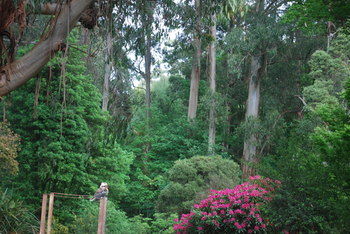Rocky Creek Art Garden B&B - Port Augusta Accommodation 5