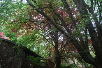 Rocky Creek Art Garden B&B - Port Augusta Accommodation 6