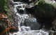 Rocky Creek Art Garden B&B - thumb 7
