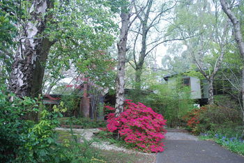Rocky Creek Art Garden B&B - Port Augusta Accommodation 11