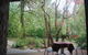 Rocky Creek Art Garden B&B - thumb 15