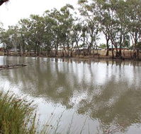 Riverbank Caravan Park - Port Augusta Accommodation