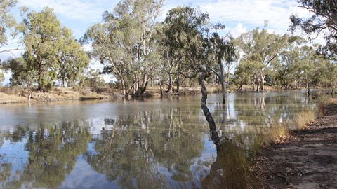Riverbank Caravan Park - Port Augusta Accommodation 5