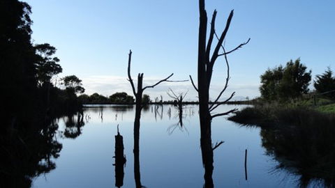 A Fare With Nature @ Prom Road Farm - Port Augusta Accommodation 6