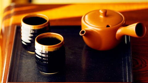 Shizuka Ryokan Japanese Country Spa & Wellness Retreat - Port Augusta Accommodation 7
