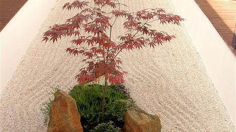 Shizuka Ryokan Japanese Country Spa & Wellness Retreat - Port Augusta Accommodation 6