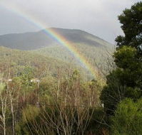 Wattletree Cottage