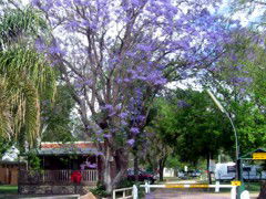 BIG4 Forbes Holiday Park - Port Augusta Accommodation 3