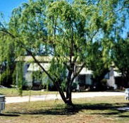 Blue Topaz Caravan Park  Camping Ground - Port Augusta Accommodation