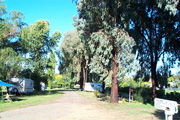 Cudal NSW Port Augusta Accommodation