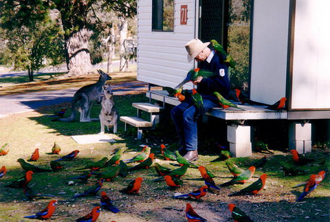 Inland Waters Holiday Parks Burrinjuck - Port Augusta Accommodation 0
