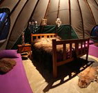 Aranyani Bison Adventure Tourist Park - Port Augusta Accommodation