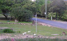 Burrinjuck Waters Holiday Park Accommodation - Port Augusta Accommodation 2
