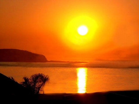The Black Dolphin - Port Augusta Accommodation 2