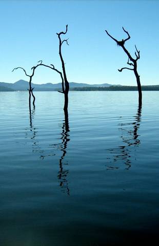 Tinaroo Lake Resort - Holiday Apartments - Port Augusta Accommodation 11