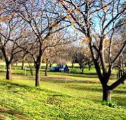 Wellington Caves Caravan Park - Port Augusta Accommodation