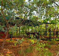 Arnhemland Barramundi Nature Lodge - Port Augusta Accommodation