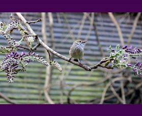 MossGrove Bed And Breakfast - Port Augusta Accommodation 2