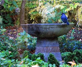 MossGrove Bed And Breakfast - Port Augusta Accommodation 4
