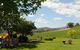 Acacia Park Farm House - thumb 3