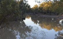 Four Mile Camping Reserve - Port Augusta Accommodation 0