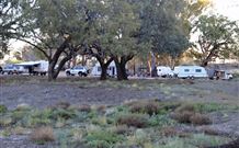 Four Mile Camping Reserve - Port Augusta Accommodation 1