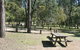 Lemon Tree Flat Campground - thumb 0