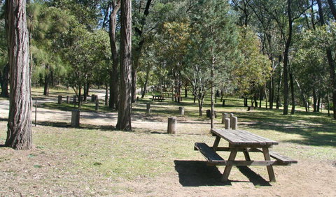 Lemon Tree Flat Campground - Port Augusta Accommodation 0