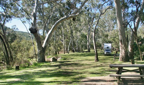 Lemon Tree Flat Campground - Port Augusta Accommodation 2