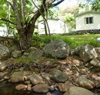 Mt Warning Rainforest Park - Port Augusta Accommodation