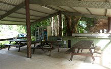 Mt Warning Rainforest Park - Port Augusta Accommodation 4