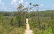 Station Creek Campground - thumb 1