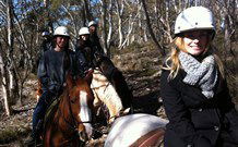 JE Resort (Jindabyne Equestrian Resort) - Port Augusta Accommodation 1