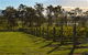 H Boutique Hotel - Pokolbin - thumb 0