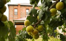 Imperial Fine Accommodation - Broken Hill - Port Augusta Accommodation 7