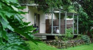 Mt Warning Rainforest Park - Port Augusta Accommodation 6