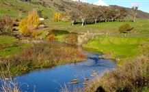 Ralda's Cottage - Port Augusta Accommodation 0