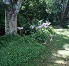 Tallawalla Retreat - Port Augusta Accommodation