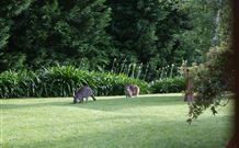 Yallambee Bed And Breakfast - Port Augusta Accommodation 4