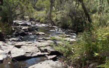 Pinegrove Cottage - Port Augusta Accommodation 4