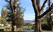 Sand Cottage - Port Augusta Accommodation 1
