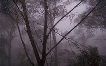 SeaChange Holiday Cottage And SeaStay Cottage - Port Augusta Accommodation 4