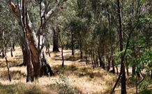 Wagon Wheel Motel And Units - Port Augusta Accommodation 6
