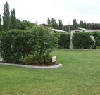 Wheatfield Cottage - Port Augusta Accommodation