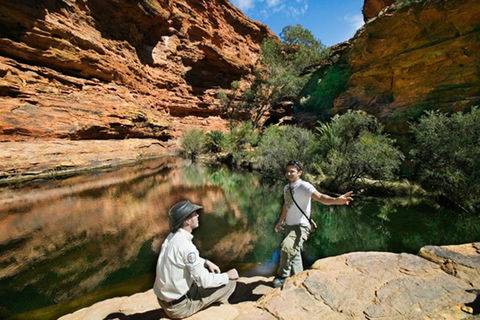 Kings Canyon Holiday Park - Port Augusta Accommodation 8