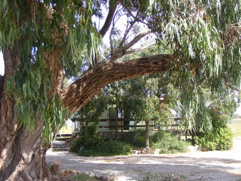 Coodlie Park - Port Kenny - Venus Bay - Port Augusta Accommodation 4